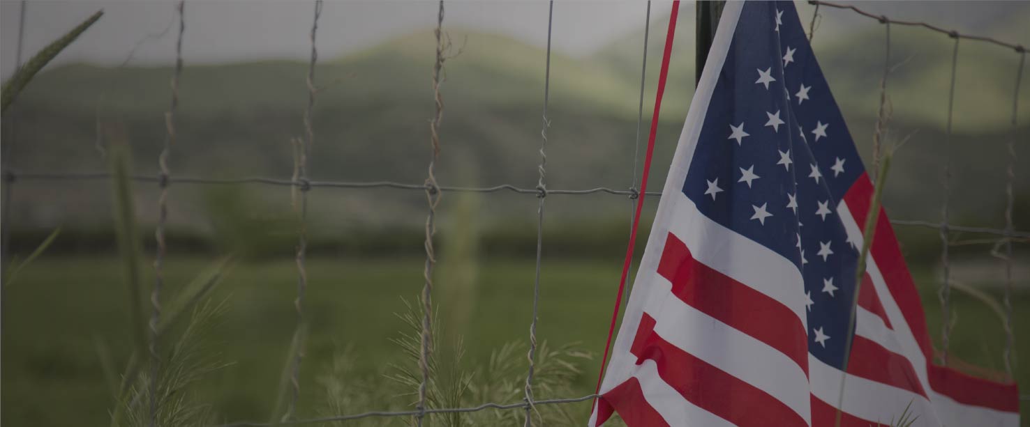 Image of an American Flag by a fence