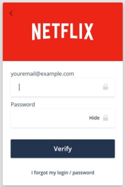 Netflix log in example for  Biller Direct