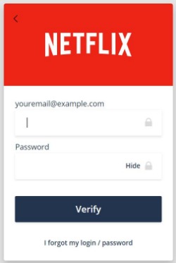 Netflix log in example for Biller Direct