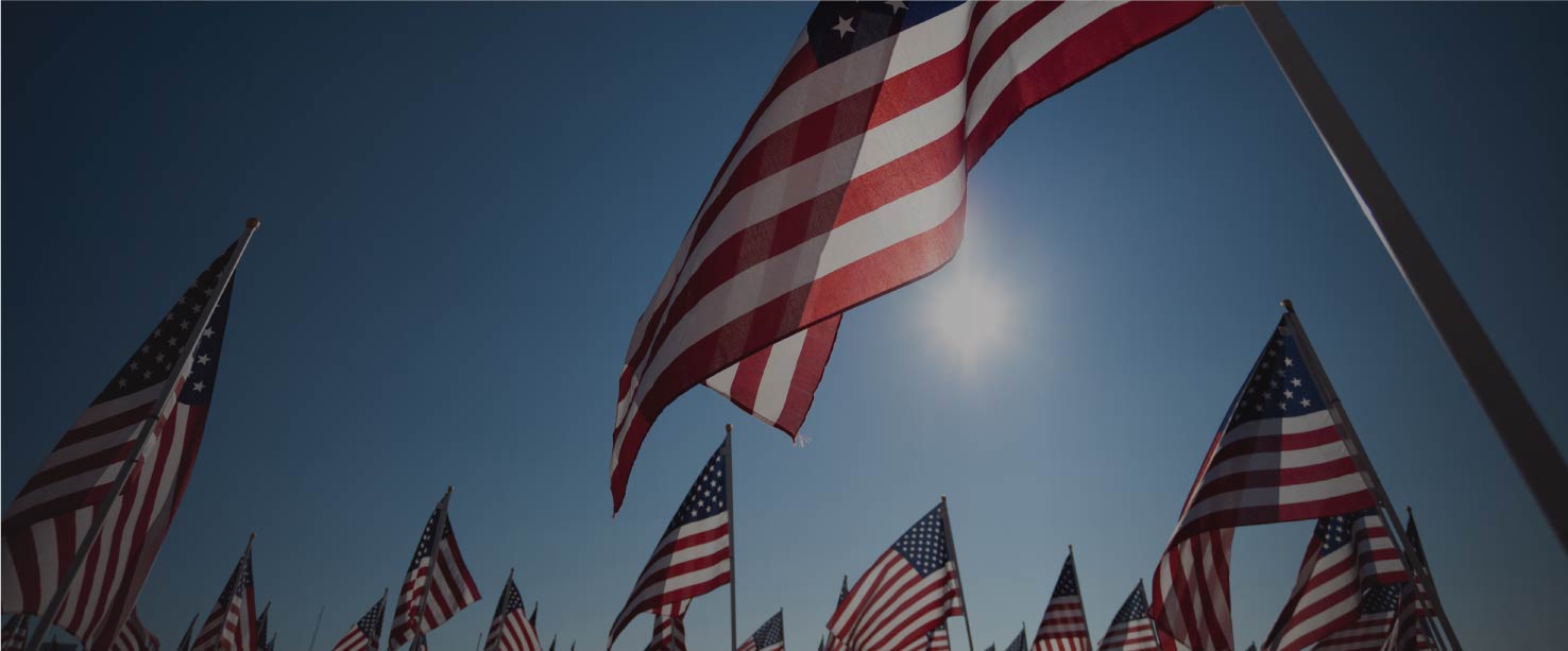 Image of American flags staked and flowing in the wind
