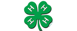 Henrietta 4H